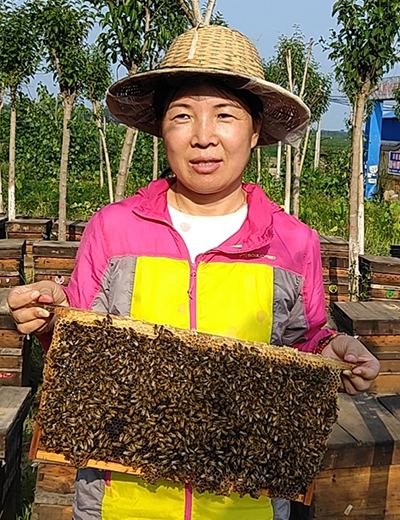 2孙红利